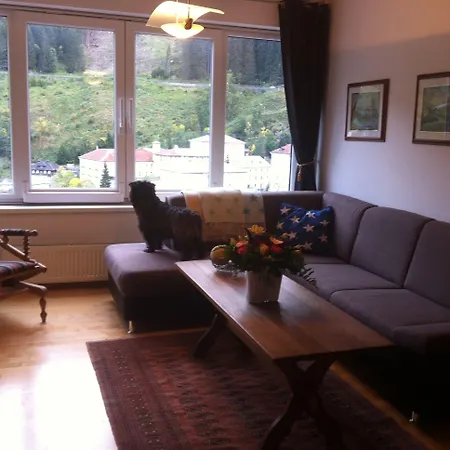 Appartamento Residenz Lothringen By Alpentravel Bad Gastein