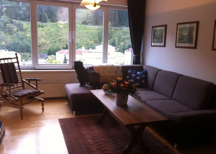 Apartment Residenz Lothringen By Alpentravel Bad Gastein